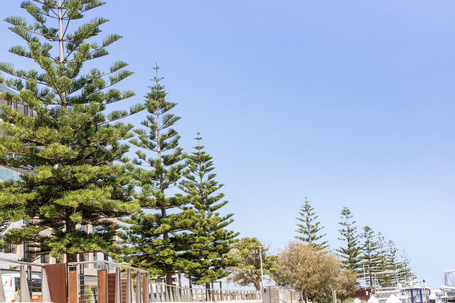 WEB-Maraboo-Island-Port-Coogee-Day-Edit-27